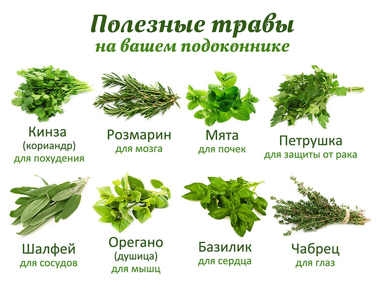 ae2461b547d5bb77209b639b7da6270d.jpg