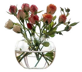 oie_RUJm8zZuN5FX9ec84a16b8598570.png
