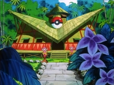 https://e.radikal.host/2023/05/05/227px-Valencia_Island_Pokemon_Center.png