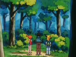 https://e.radikal.host/2023/05/09/250px-Johto_Route_33_anime.png