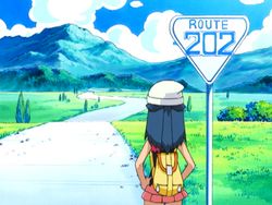 https://e.radikal.host/2023/05/13/250px-Route_202_anime.png