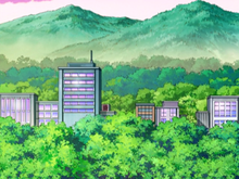 https://e.radikal.host/2023/05/15/220px-Solaceon_Town_anime.png