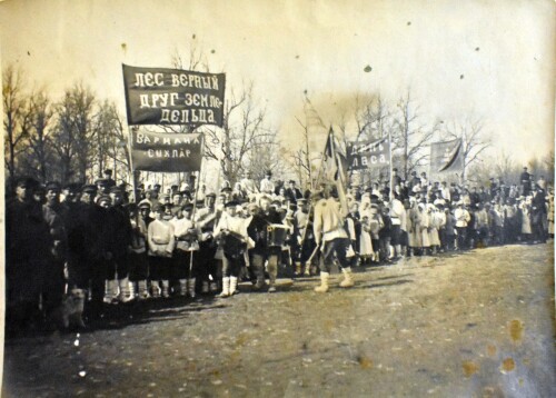 1923G.-TOISINSKOE-LESNICESTVO.-CEBOKSARSKII-UEZD.-DEN-LESA.-1.jpg