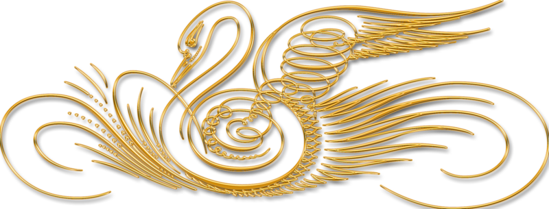 image_image_780166eec51f0668c6e86c.png
