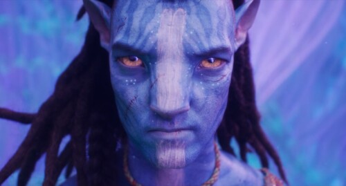 Avatar The.Way.of.Water.(2022).BDRip.1080p.HEVC.(60 Fps).mkv 20230617 234855.776