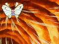 https://e.radikal.host/2023/06/22/120px-Ash_Butterfree_Whirlwind.png