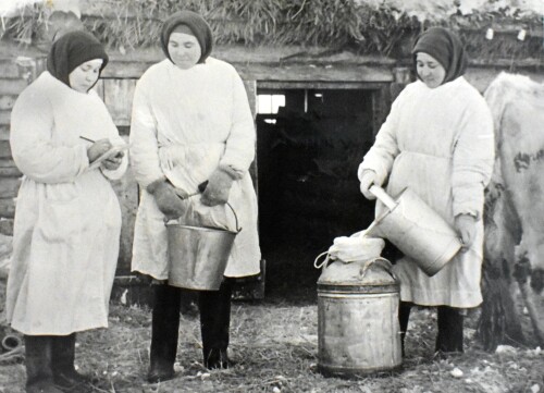 Доярки колхоза Слава. Сотникова, Архипова, Павлова