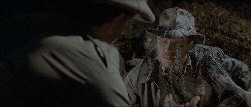 1.Indiana.Jones.and.the.Raiders.of.the.Lost.Ark.(1981).(2160p).BluRay.x265.10bit.HDR.mkv 20230711 15