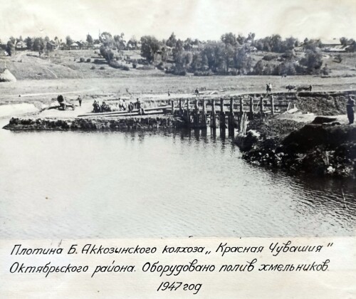 1947г. колхоз Красная Чувашия. деревня Большое Аккозино Октябрьский район. Оборудован полив хмельник