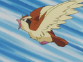 https://e.radikal.host/2023/07/18/120px-Oak_Pidgey.png