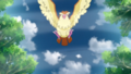 https://e.radikal.host/2023/07/18/120px-Pidgey_Gust_PO.png