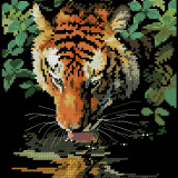 Dimensions-06961-Tiger-Reflection
