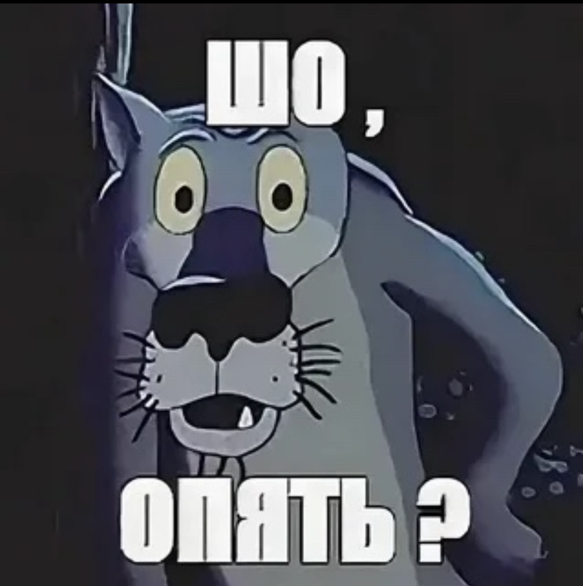 https://e.radikal.host/2023/08/02/Sf3H8FCxqR-ACGZfJR2uLYW13VY-1920.jpg