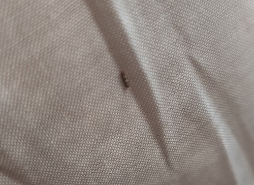 IMG_20230803_082336.md.jpg