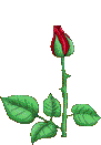 24035-1336085572.gif