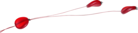 oie_27181913eIdCfSC0-1.png