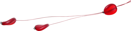 oie_27181913eIdCfSC0.png