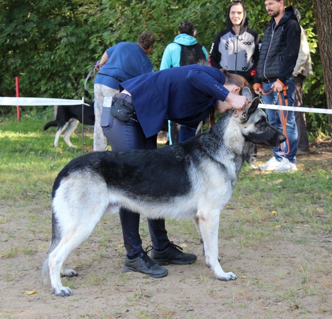 https://e.radikal.host/2023/09/24/IMG_3329_SVETOZAR.jpg