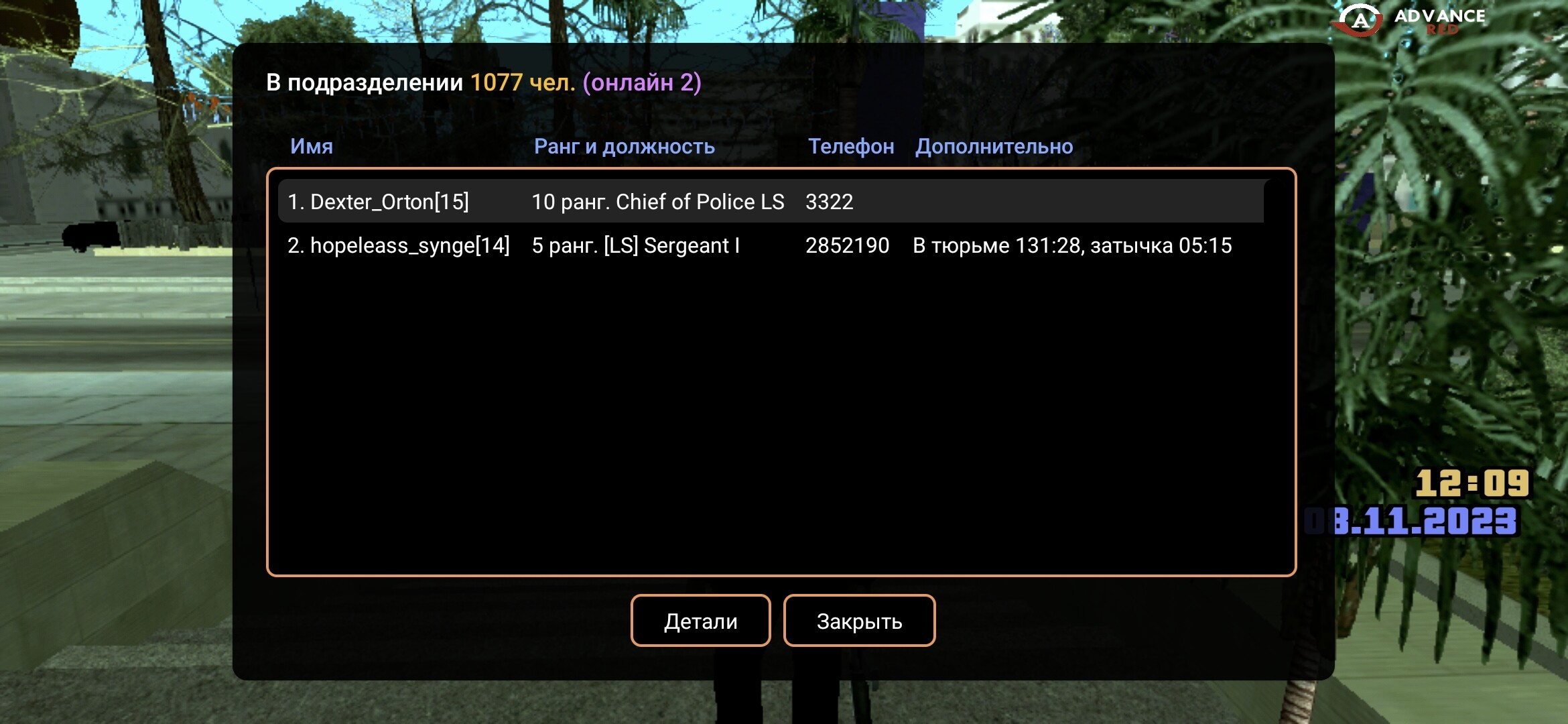 radikal.host