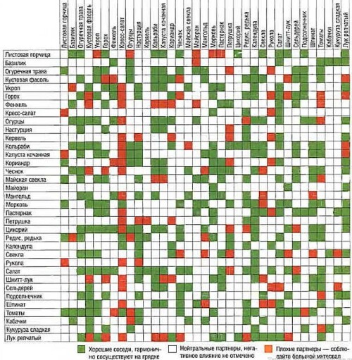 tablitsa sovmeshheniya rastenij pri posadke v ogorode