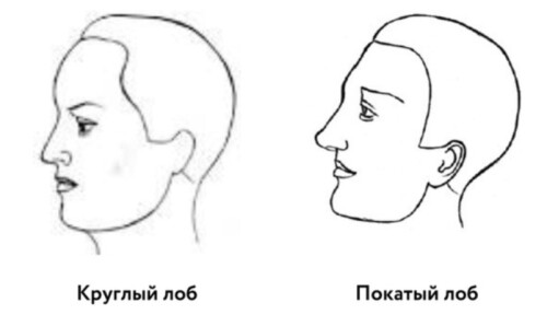 kak uznat harakter muzhchiny po forme ego lba kruglyy pokatyy uzkiy shirokiy i drugie