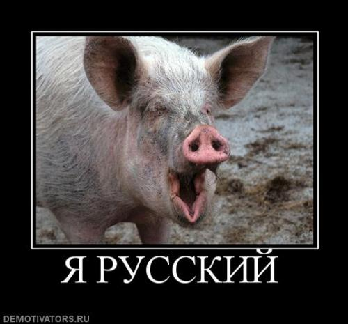 imagee8df990cbe28714a.png