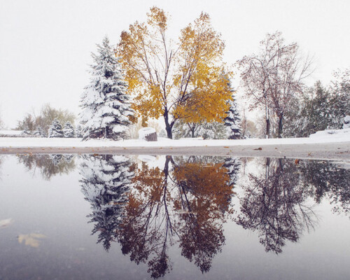 winter autumn 05