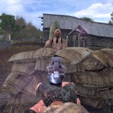 ss_newfake_01-22-24_17-11-37_marsh.th.jp