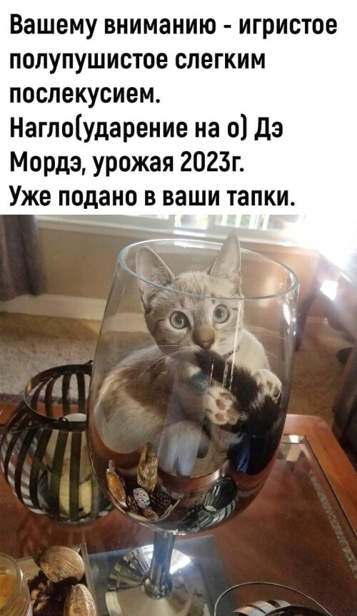 https://e.radikal.host/2024/04/07/fkVM5lqVaCE.md.jpg