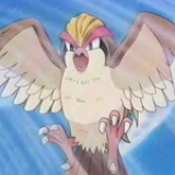 https://e.radikal.host/2024/04/09/20111002233008Falkner_Pidgeot_Whirlwind.th.png