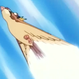 https://e.radikal.host/2024/04/09/20210519102104Ash_Pidgeot_Quick_Attack.th.png