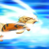 https://e.radikal.host/2024/04/22/20111011221428Tucker_Arcanine_ExtremeSpeed.th.png