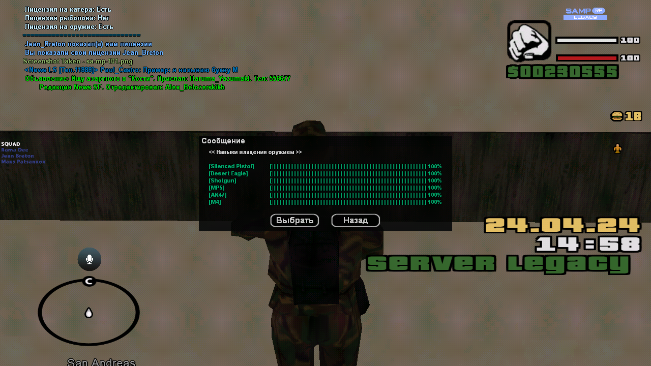 radikal.host