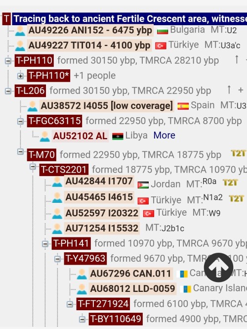 Screenshot 2024 04 26 07 56 16 46 21da60175e70af211acc4f26191b7a77