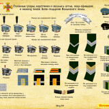 https://e.radikal.host/2024/05/05/STR.59-L-GV-VOLYNSKII-POLK-KIVERA-OBSLAGA.th.jpg