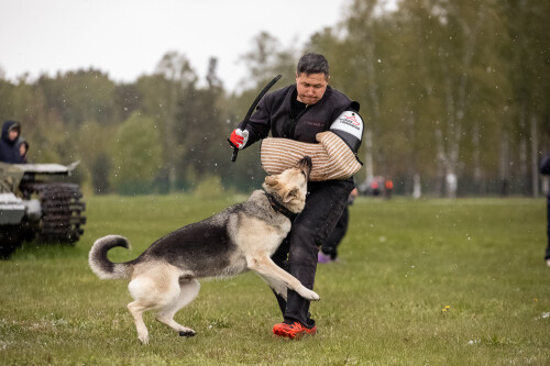 https://e.radikal.host/2024/05/13/IMG_9201_YDZINA.md.jpg