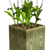 R11---Garden-PotPlant-2014---083.png