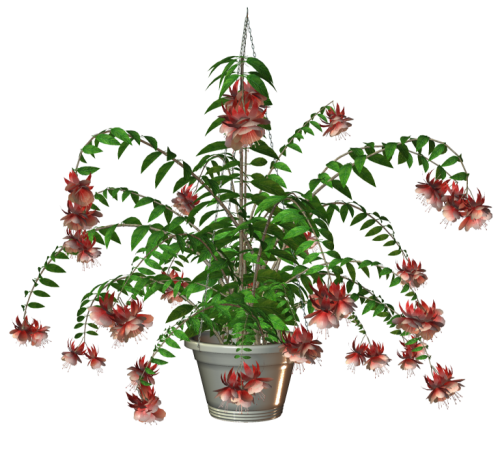 R11---Garden-PotPlant-2014---091.png