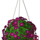 R11---Garden-PotPlant-2014---095.png