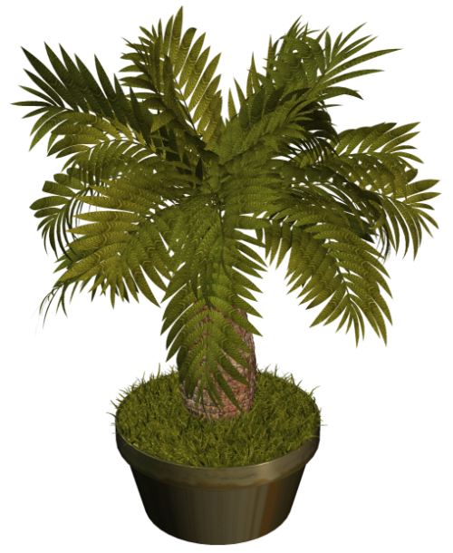 R11---Garden-PotPlant-2014---124.png