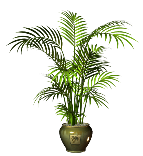 R11---Garden-PotPlant-2014---143.png