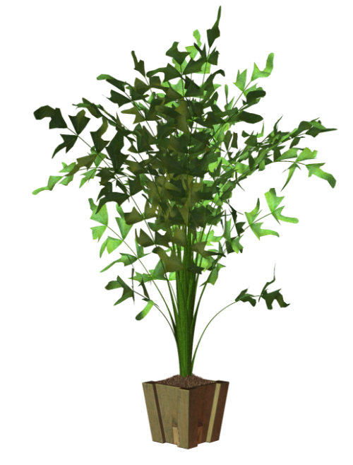 R11---Garden-PotPlant-2014---149.png