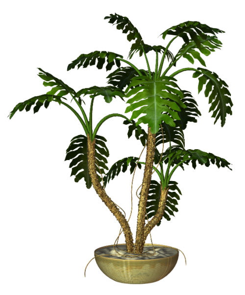 R11---Garden-PotPlant-2014---152.png