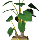 R11---Garden-PotPlant-2014---161.png