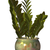 R11---Garden-PotPlant-2014---175.png