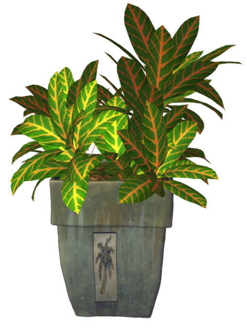 R11---Garden-PotPlant-2014---181.png