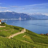 svicarska-gory-ozero-doma-polia-lavaux-region-vaud-prirod