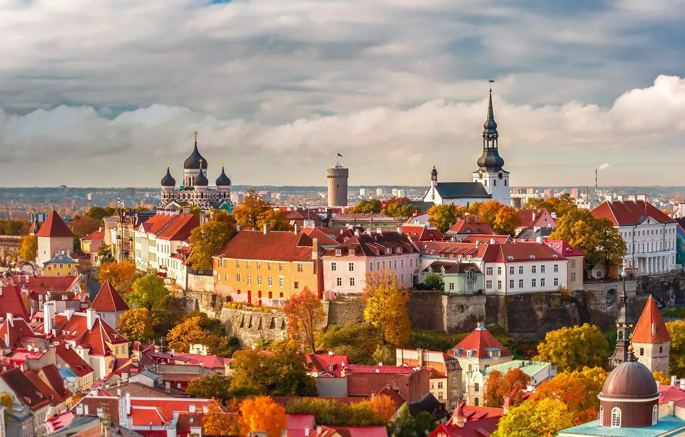 Estonija - Page 8 Tallinn-estoniia-panorama-doma