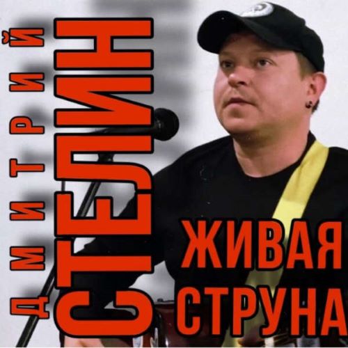 Стелин Дмитрий - Живая струна 2024(320)