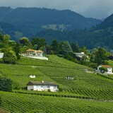 switzerland-vineyards-fields-landscape-mountains-shveitsarii